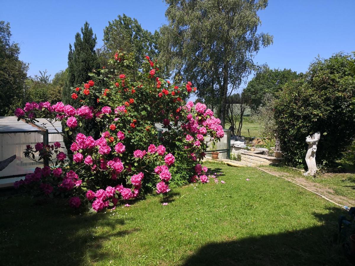 Au Jardin Fleuri Bed & Breakfast Secondigny Dış mekan fotoğraf